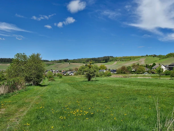 Blick auf Nieder- und Obermennig