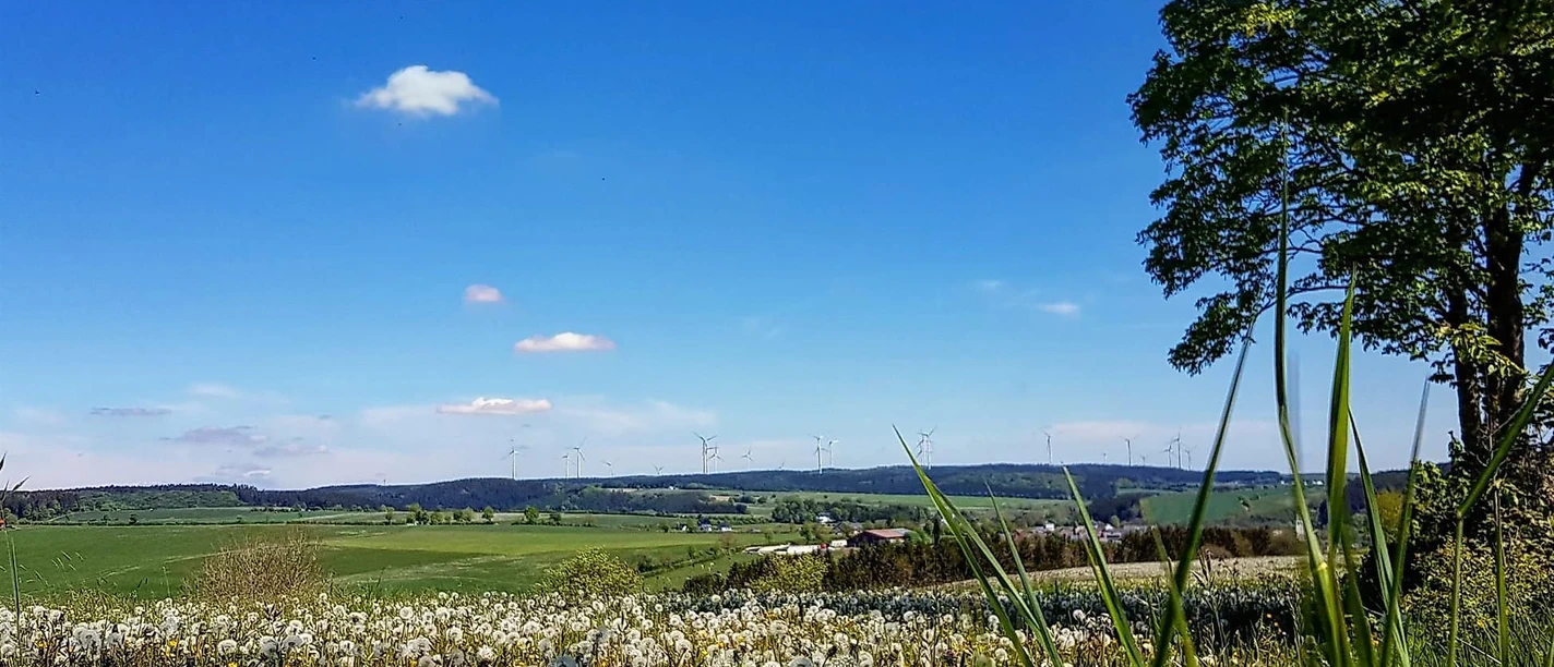 Panoramablick Olzheim