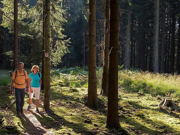 Auf der Traumschleife Saarhölzbachpfad