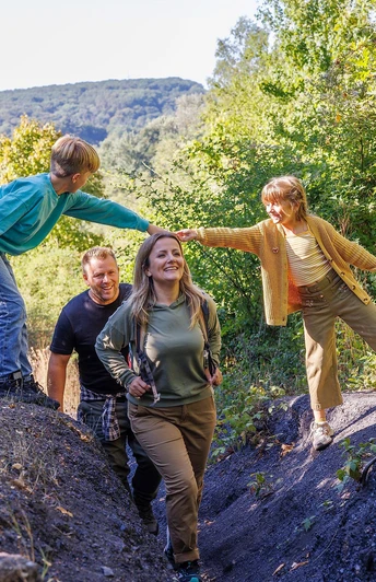 Haldenlandschaft Würselen