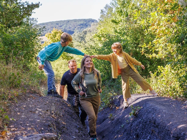 Haldenlandschaft Würselen