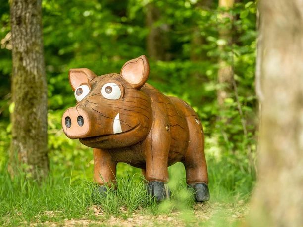 Schweinchen beim Landschaftskino