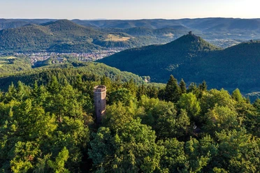 Rehbergturm