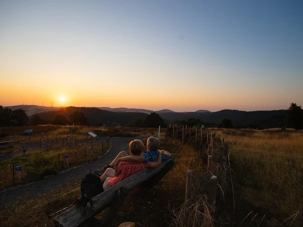 Sonnenaufgang auf dem Wabelsberg