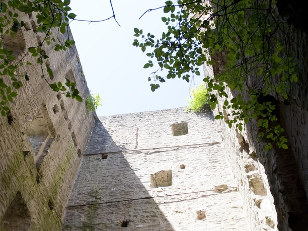 Sommerau, Burgruine
