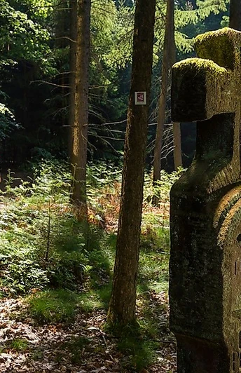 Unterwegs auf der Traumschleife Steinhauerweg