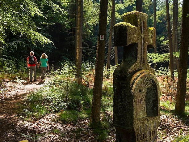 Unterwegs auf der Traumschleife Steinhauerweg