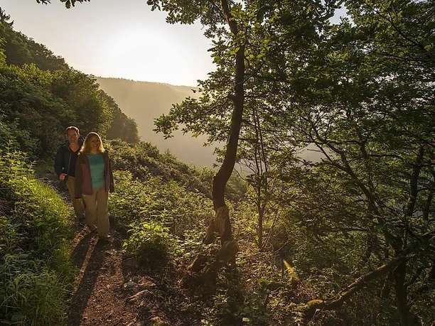 Wanderung an den Steilhängen der Traumschleife Cloefpfad