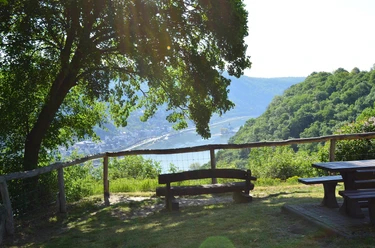 Traumschleifchen Pfalzblick