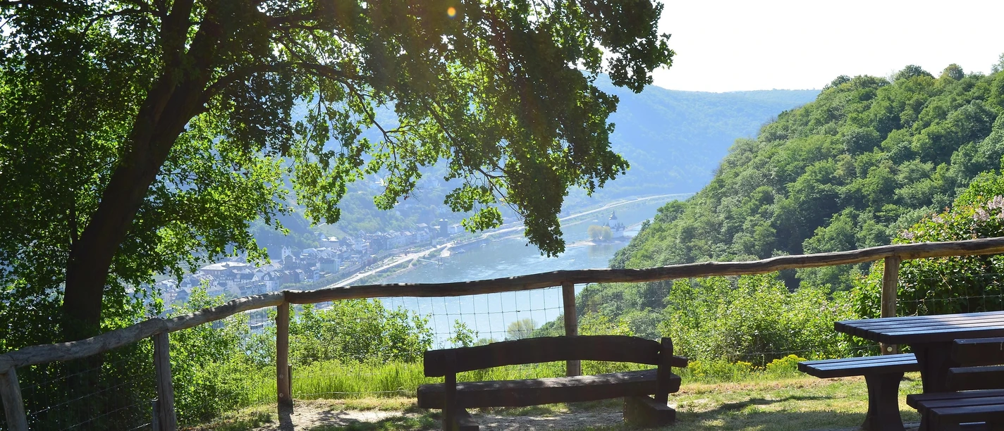 Traumschleifchen Pfalzblick