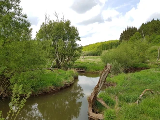 Alfbachtal SW