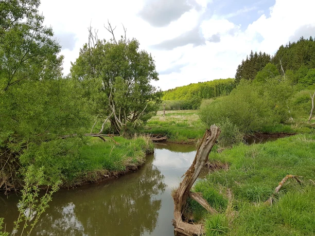 Alfbachtal SW