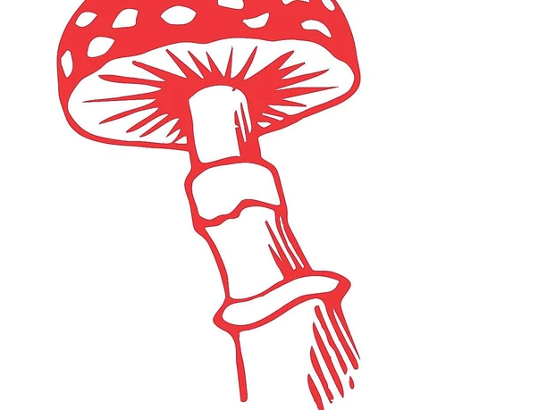 Logo Pilzweg