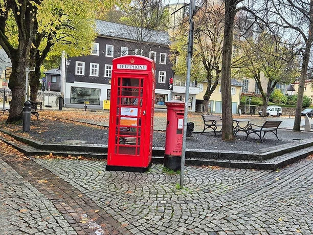 Bücherschrank Dillenburg