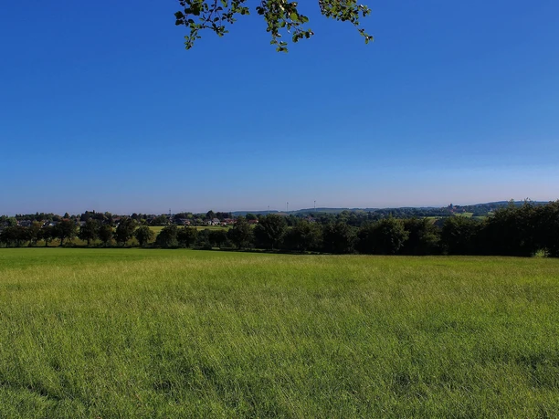 Eifel-Blick Franziskus-Gymnasium