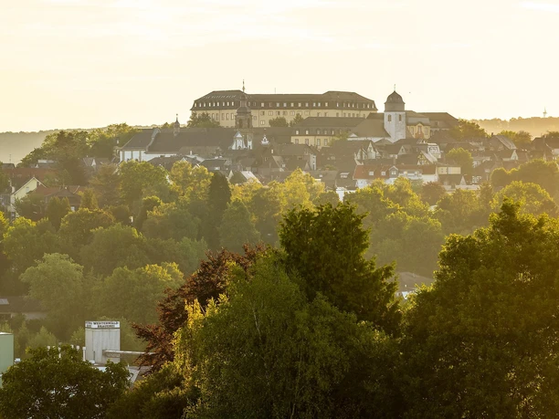 Ausblick vom Hebeberg zum Hachenburger Schloss