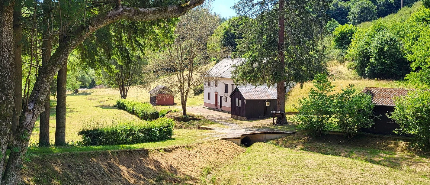 Steinkaulsmühle