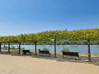 Rheinufer Heidenfahrt - Blick auf Inselrhein 1