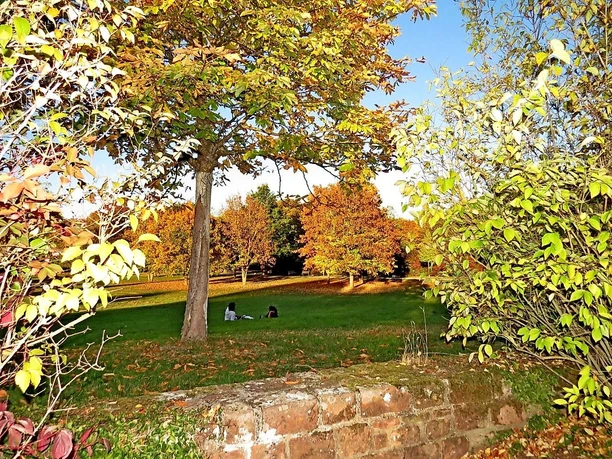 Stadtpark in Wittlich