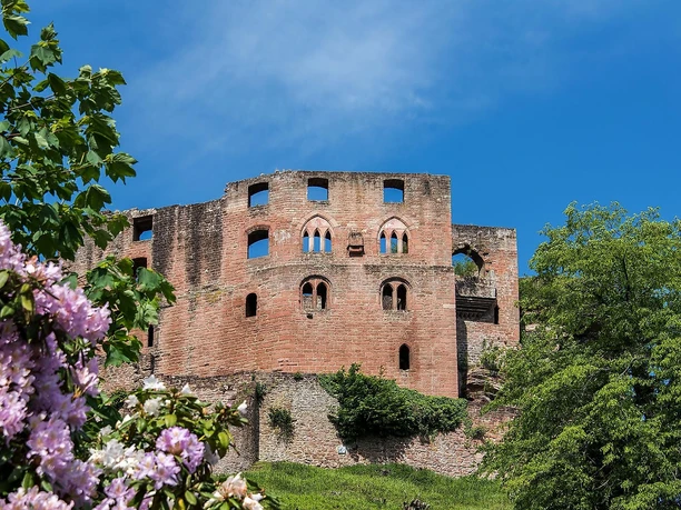 5695_Frankenstein_Burgruine_2018