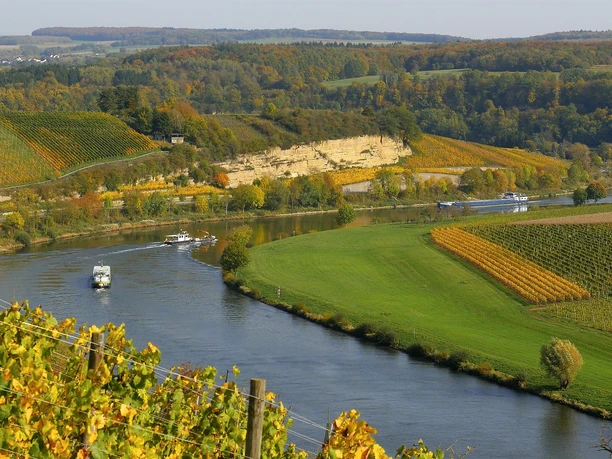 Mosel bei Palzem