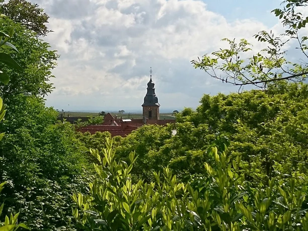 Aussicht auf die Kirche in Frankweiler