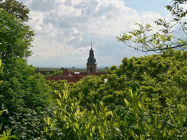 Aussicht auf die Kirche in Frankweiler Aussicht auf die Kirche in Frankweiler