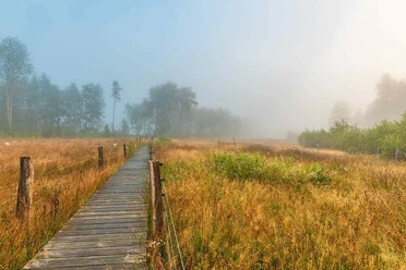 Sistiger Heide