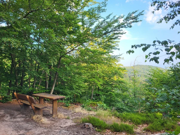 Rastplatz Burgblick