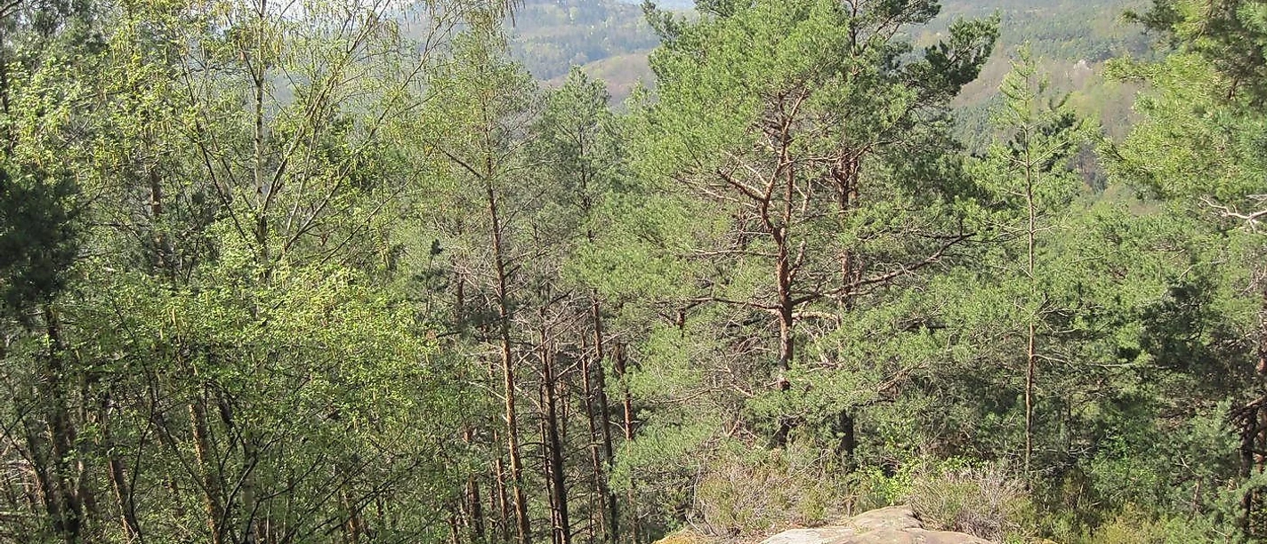 Picknickplatz