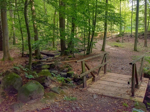 Schlosspark-Wald-Rauischholzhausen
