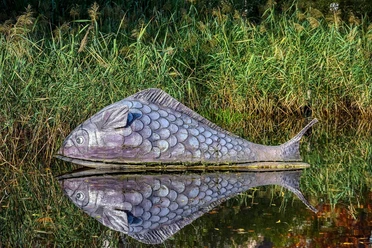 Fisch im Alten Botanischen Garten