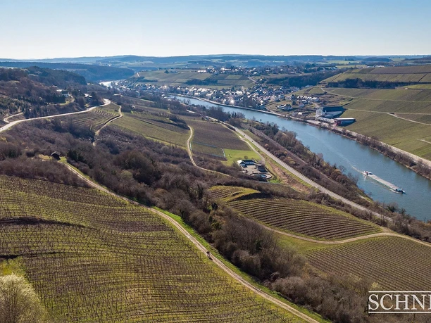 Weingut Schneider (2)