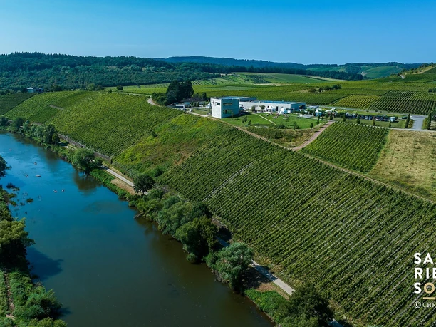 Saar Riesling Sommer (c)