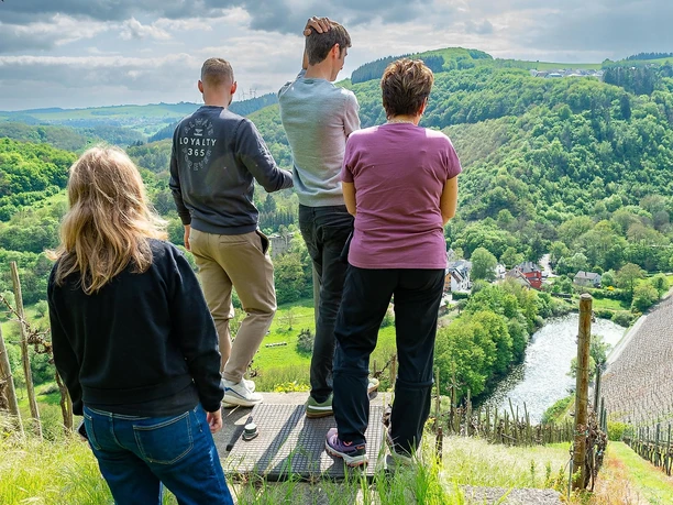 Sommerauer Schloßberg