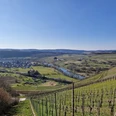 Schodener Herrenberg