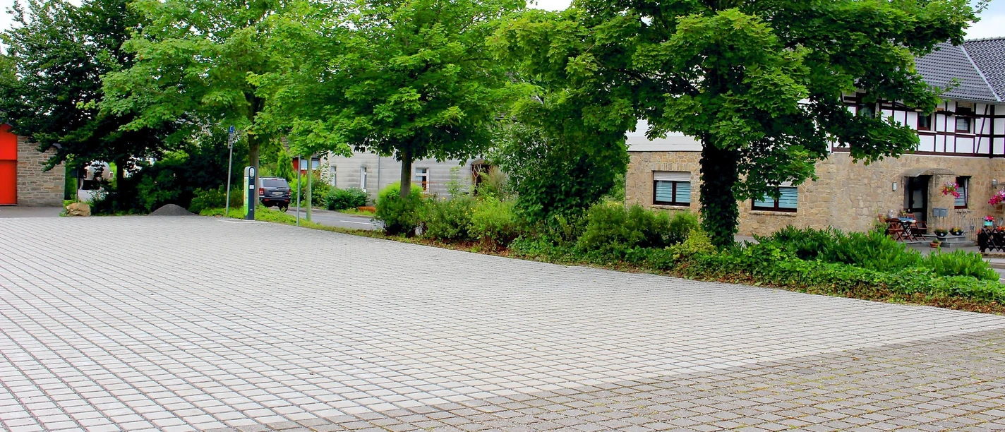Wanderparkplatz Dorfplatz Strauch
