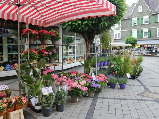 Blumen Blumen