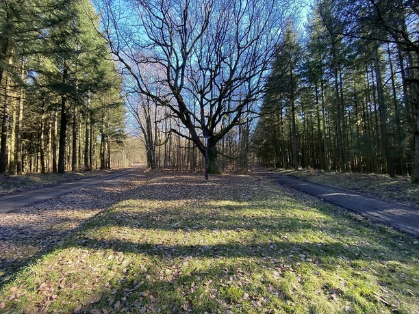 Krohkreuz (02)