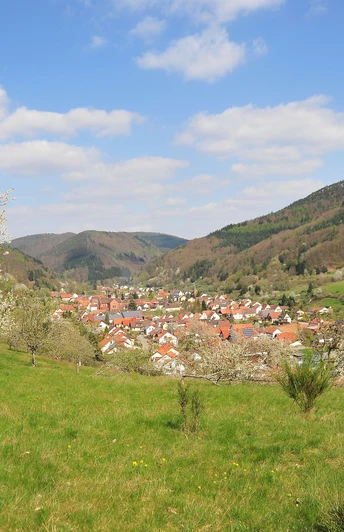 Blick auf Eußerthal