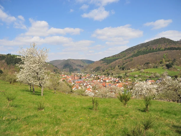 Blick auf Eußerthal