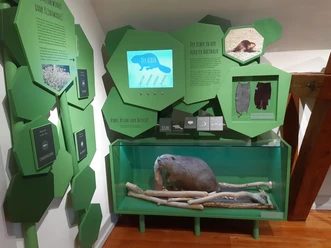 Ausstellung Altes Forsthaus Hördt