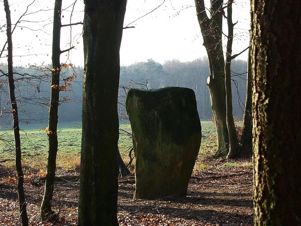Wintersonne - Druidenstein bei Bollendorf