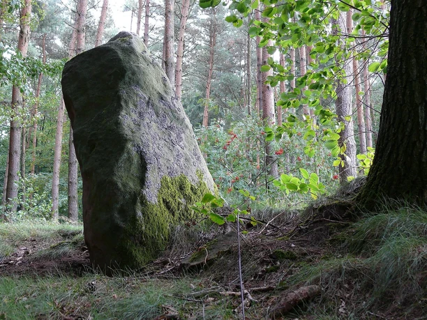 Der Langenstein bei Holsthum
