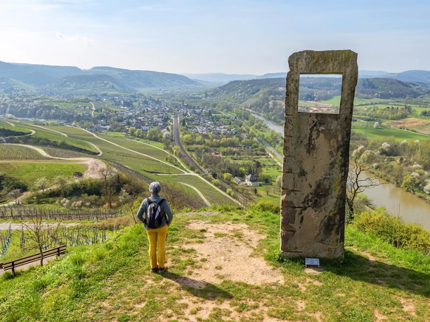 Blick auf Wiltingen