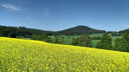 Blick auf den Rimberg