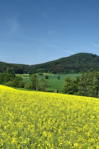 Blick auf den Rimberg