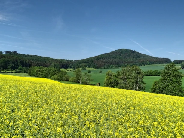 Blick auf den Rimberg