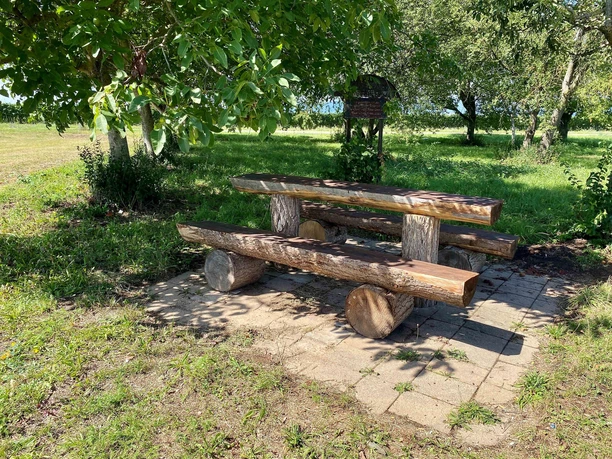Picknickplatz "Unter den Bäumen" (2)