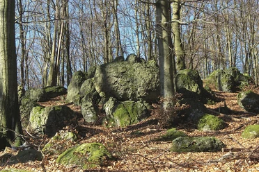 Butterweck